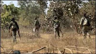 gadchiroli police gun down 12 maoist insurgents