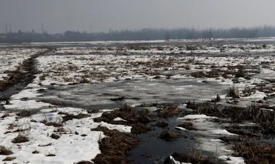 ngt serves notices on declining state of wetlands  water bodies in kashmir