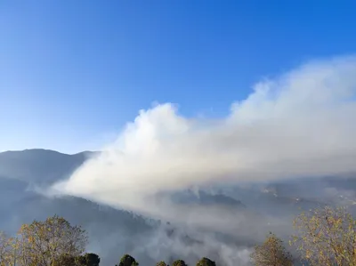 fire erupts in poonch forests  damages vegetation