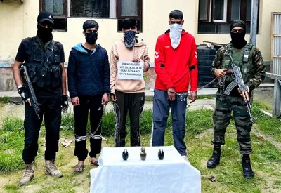 terror module busted in baramulla  three arrested  police