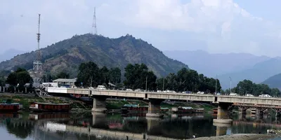 side fencing of bridges