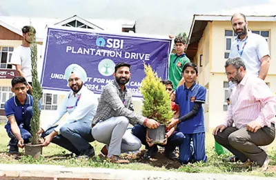 sbi conducts plantation drive to mark 215 years of service