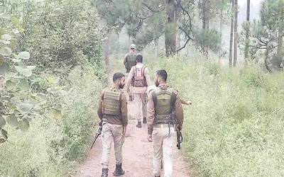 security forces conduct searches in reasi  poonch areas