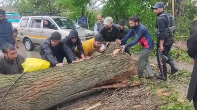 vehicle damaged as windstorm topples trees  knocks out power supply in north kashmir