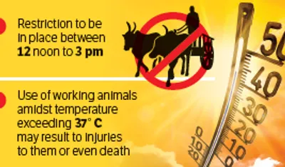 dm jammu prohibits use of draught  pack animals during daytime