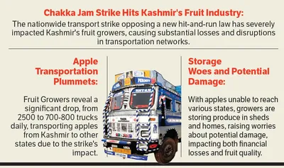 kashmir s fruit industry suffers blow as transporters  strike paralyses transportation