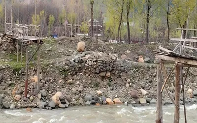 damage to makeshift wooden bridge in kupwara area causes hardships to people