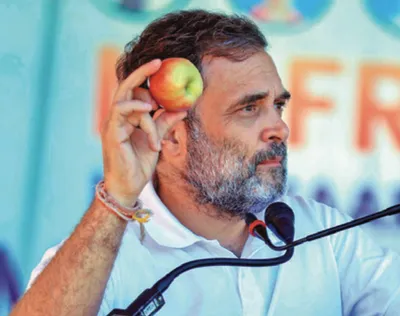 rahul promises global markets for sopore’s apples