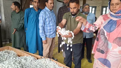 sericulture department j k holds cocoon auction at tulsi bagh in srinagar