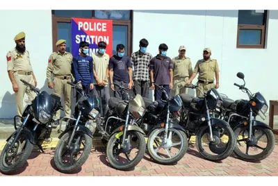 2 gangs busted  5 arrested in samba