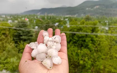 conduct immediate survey of hailstorm hit crop  compensate farmers in south kashmir  jkcsf urges lg admin