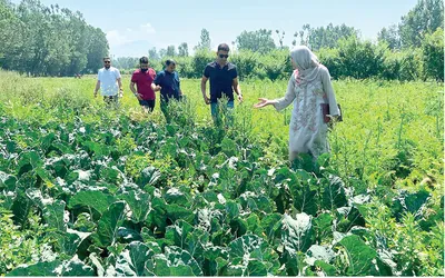 success story    pulwama girl shows the way with organic farming