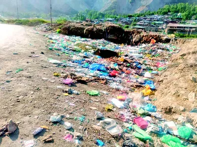 joggers irked over unattended garbage dump  dog menace at khanpora