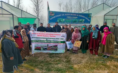 training on nursery production of ornamental plants begins in tangmarg