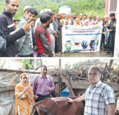 skuast k  kvk ganderbal hold animal health camp