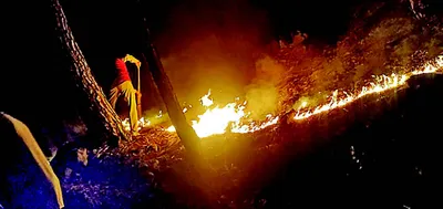 forest fire causes extensive damage at bathuni in rajouri