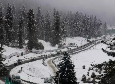 tourist from madhya pradesh found dead in gulmarg