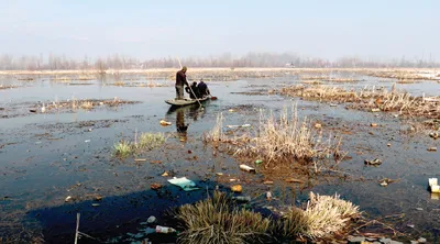 don’t ravage habitat of winged visitors to kashmir