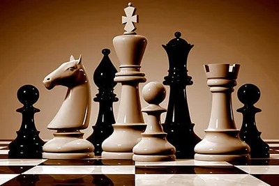 inter district ut level chess competition commences at batote