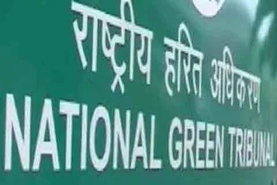 ngt seeks accountability from j kpcc for wetland destruction