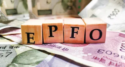 epfo adds 19 3 lakh net members in june  up 7 9  yoy