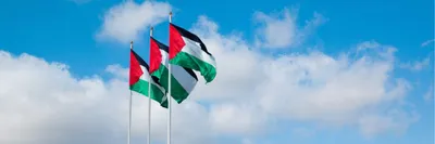 spain officially recognises palestinian statehood to advance peace