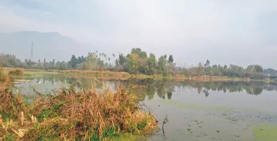 khurwan sar lake in sumbal battles for survival