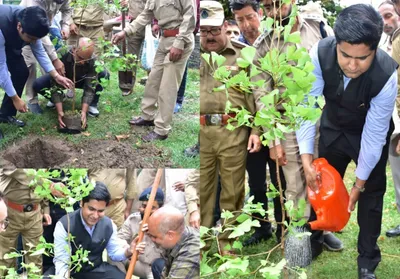 ‘plant trees at key public locations  memorials’