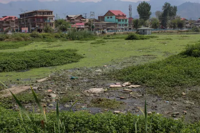 photo essay  once pristine  kashmir water bodies are dying