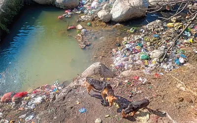 increasing pollution badly affecting water bodies in bhadarwah