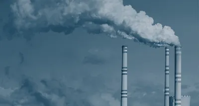 evidence grows to show air pollution can raise parkinson’s risk