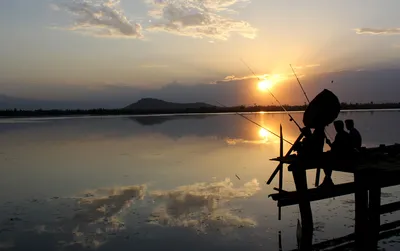 at 31 6 degrees  srinagar witnesses hottest day of season today