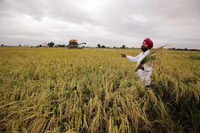 centre approves rs 13 966 crore schemes to improve farmers’ livelihood