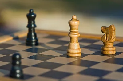 kashmir chess championship to begin from 1st week of june
