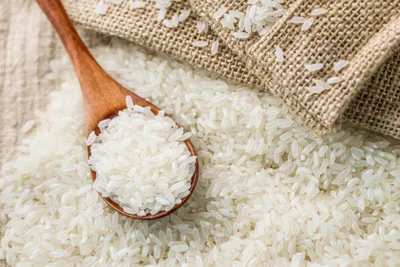 govt starts retail sale of bharat rice to check price rise  traders ordered to declare rice stocks