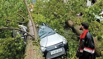 hailstorm  gusty winds  damage apple orchards  property in south kashmir