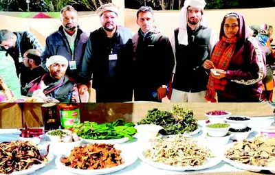 when gujaratis got bowled over by ethnic kashmiri vegetarian dishes at bhuj