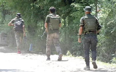 forces conduct caso in rajouri villages