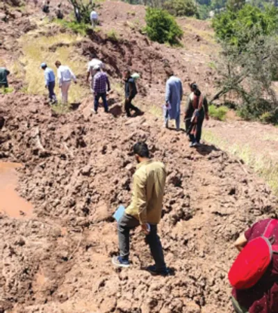 senior scientists’ team surveys affected area