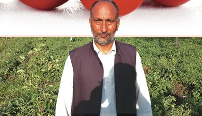 from market visitor to tomato visionary  one kashmiri farmer s quest