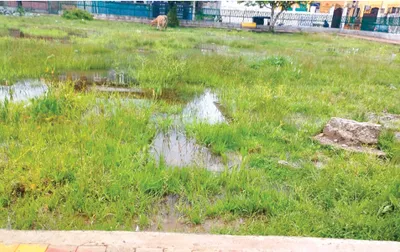 lack of maintenance renders batamaloo public park defunct