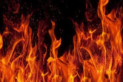 fire engulfs parts of forests on loc in mendhar