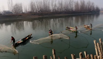 fishermen catching fish in banyari hajin in bandipora district