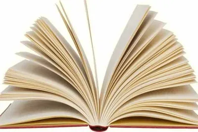 punjabi books absent from chinar book festival