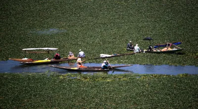 taking care of our lakes