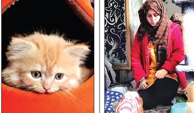 shaziya s love for pets blossoms  into a thriving business in bandipora