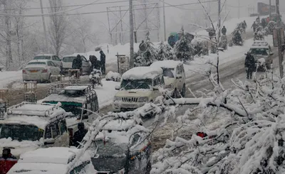 in pictures  fresh snowfall brings hustle   bustle back on tangmarg gulmarg highway