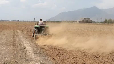 kashmir saffron farmers pray for rains