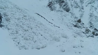 local skiers  bravery saves several lives as avalanche hits gulmarg