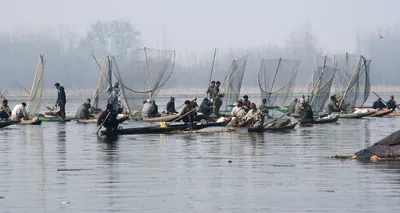 anchar lake in death throes